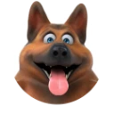 Duoserve logo
