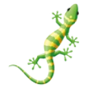 GECKO RENEWABLE ENERGY LTD logo